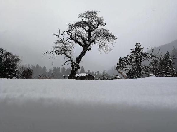 京都动态 | 张思嘉律师撰写社情民意文章被民建中央采用并荣获先进个人