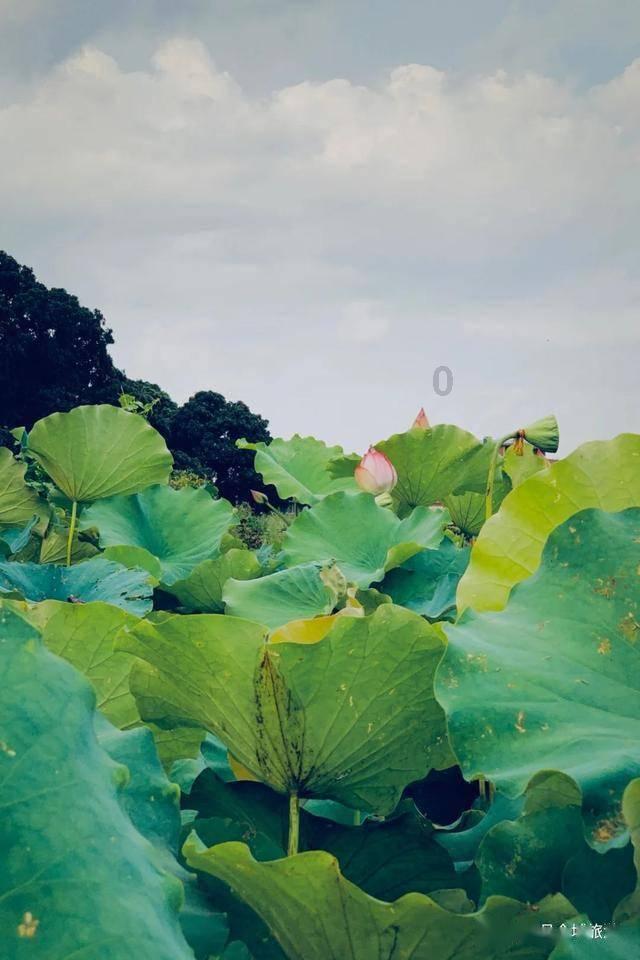 乐高都市卧底风云