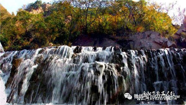 杨花:我的愿望不仅仅是破PB