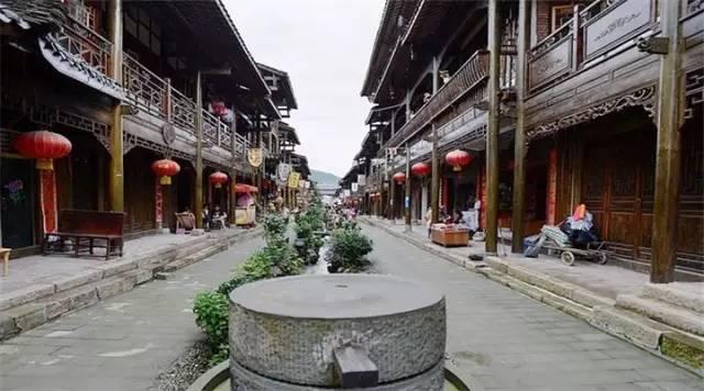委员履职风采|李灵芝:俯身大地 助农增收